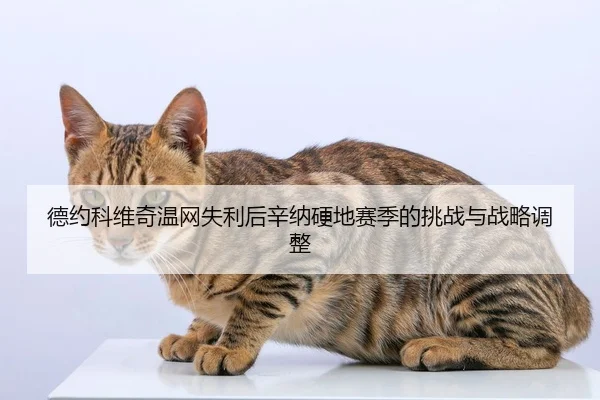 德约科维奇温网失利后辛纳硬地赛季的挑战与战略调整
