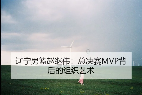 辽宁男篮赵继伟：总决赛MVP背后的组织艺术