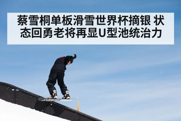 蔡雪桐单板滑雪世界杯摘银 状态回勇老将再显U型池统治力