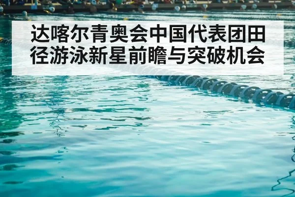 swimming competition pool lanes